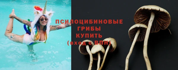 Альфа ПВП Богородицк