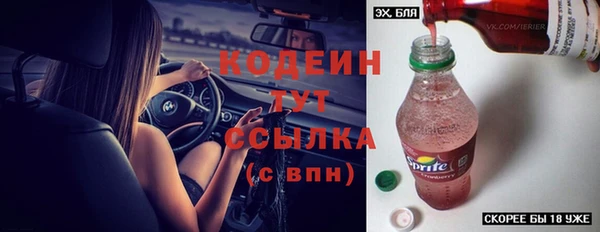 соль ск Богородск