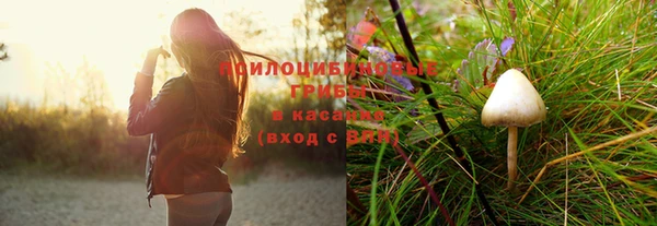 марки nbome Беломорск